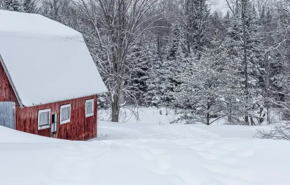 Картинка зима, лес, снег, деревья, природа, дом, здание