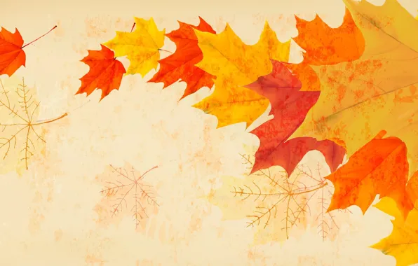 Картинка осень, листья, ветер
