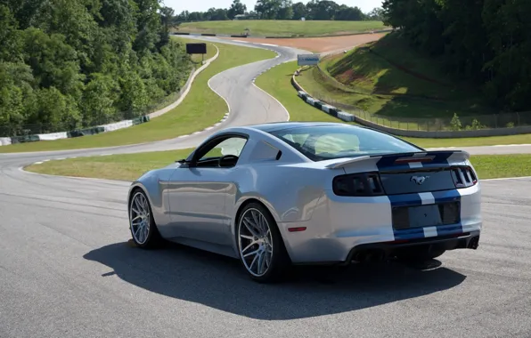 Картинка Mustang, Ford, Shelby, Трэк, Зад, Форд, Мустанг, Need For Speed, Track, Movie, 2014, Rear