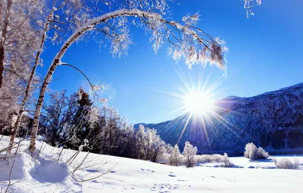 Картинка зима, солнце, снег, горы, природа, дерево