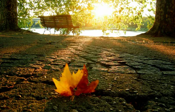 Картинка осень, свет, лист, лавка