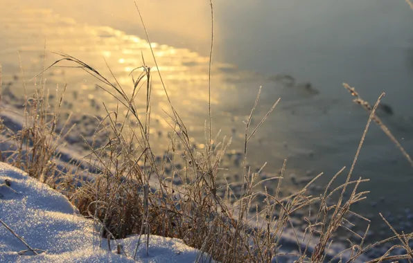 Картинка зима, трава, снег, река