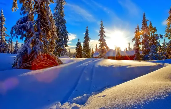 Картинка зима, лес, небо, облака, снег, закат, дом, ель
