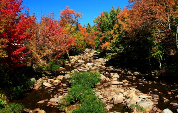 Картинка осень, деревья, природа, камни, Nature, trees, autumn, fall