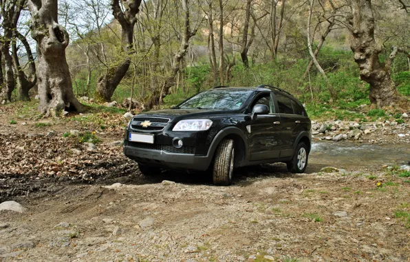 Картинка Chevrolet, trees, nature, 4x4, Bulgaria, Captiva