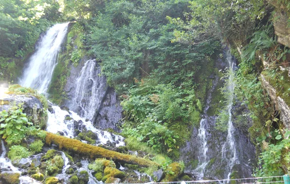 Картинка зелень, вода, водопад, Абхазия
