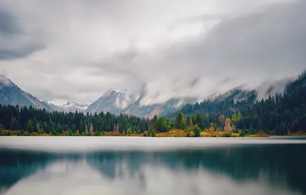Картинка лес, горы, озеро, США, штат Вашингтон, Gold Creek Pond