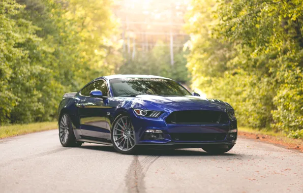 Картинка Mustang, Ford, Blue, 5.0, 2015