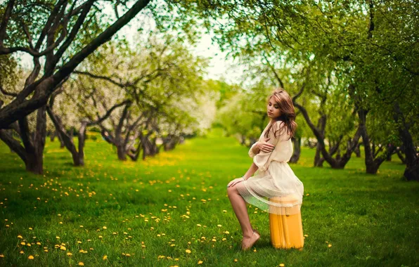Картинка Apple, Girl, Nature, Grass, Green, Sun, Yellow, Garden, Suitcase