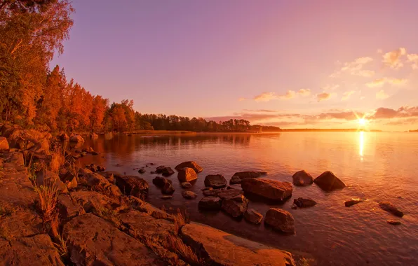 Картинка солнце, деревья, озеро, берег, Финляндия, Rantapuisto area, Ramsinruska, Petrijuntunen