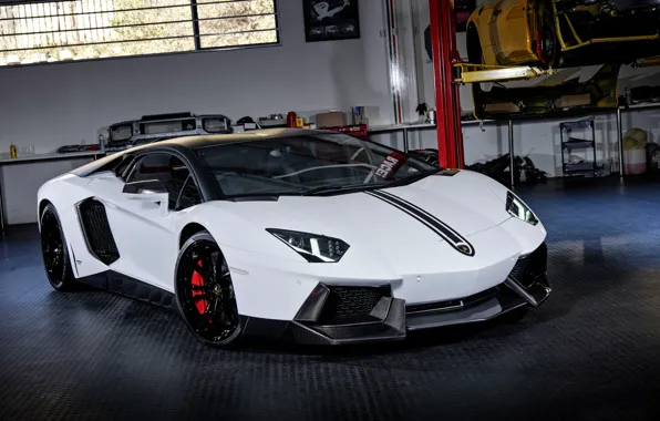 Картинка Lamborghini, White, Aventador, Novitec Torado