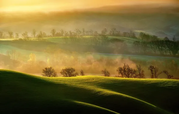 Картинка свет, поля, утро, пар, Италия, Ашано, регион Тоскана