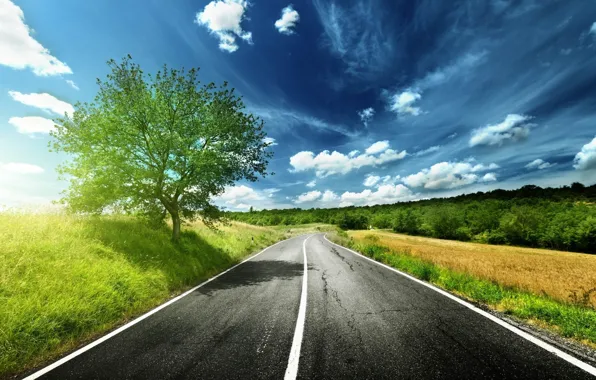 Картинка дорога, небо, трава, дерево