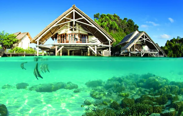 Картинка вода, прозрачность, рыбы, океан, курорт, лагуна, under the lagoon