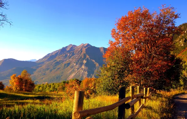 Картинка дорога, осень, лес, небо, трава, листья, деревья, горы, природа, скалы, colors, colorful, grass, forest, road, …