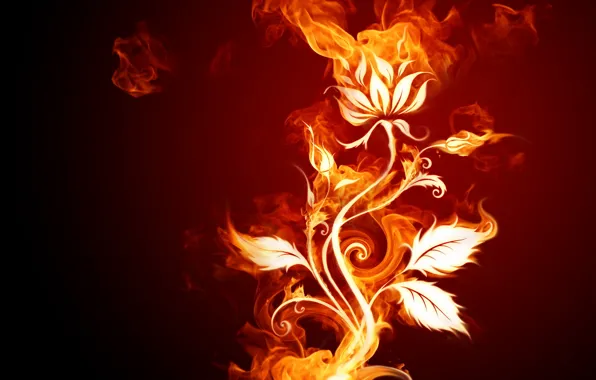 Картинка цветок, огонь, разное