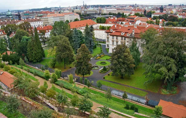 Картинка деревья, город, фото, дома, Прага, Чехия