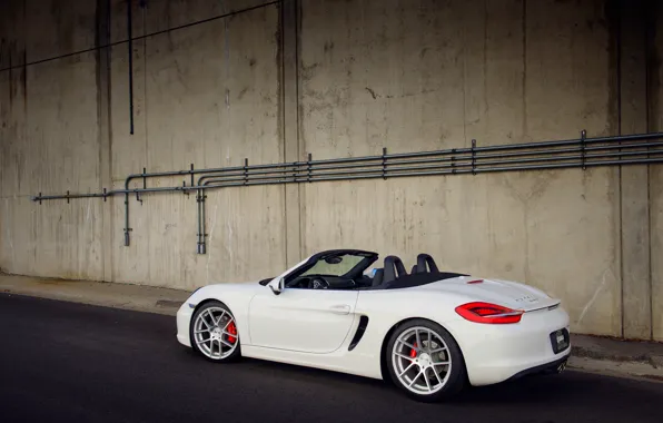 Картинка белый, Porsche, white, порше, Boxster S, 981