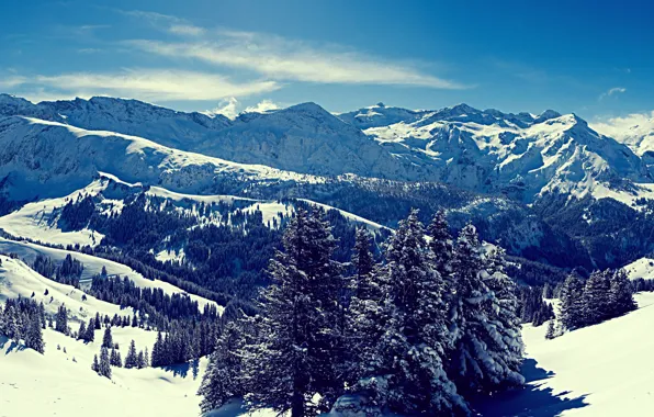 Картинка зима, горы, \Winter heart
