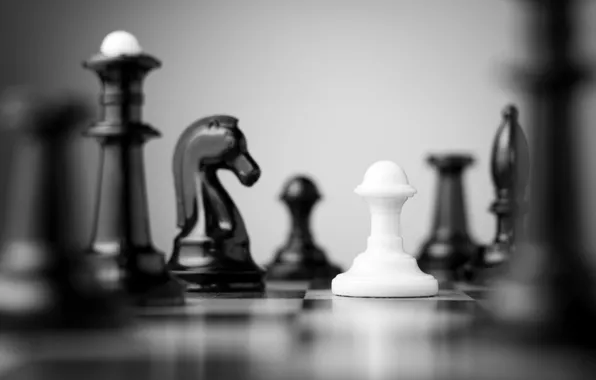 Картинка white, black, Chess, chess board