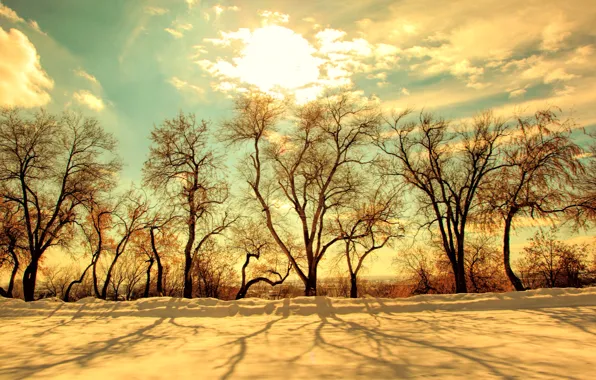 Картинка зима, небо, солнце, свет, снег, деревья