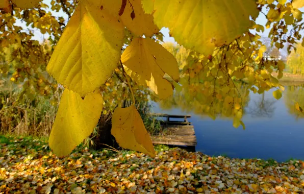Картинка river, yellow, blue, autumn