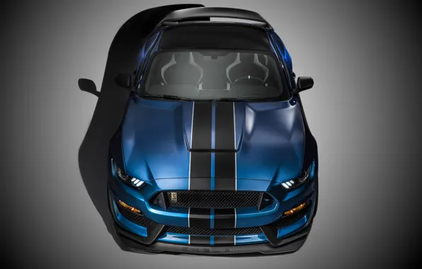 Картинка Mustang, Ford, Shelby, Muscle, Car, Front, 2015, GT350R
