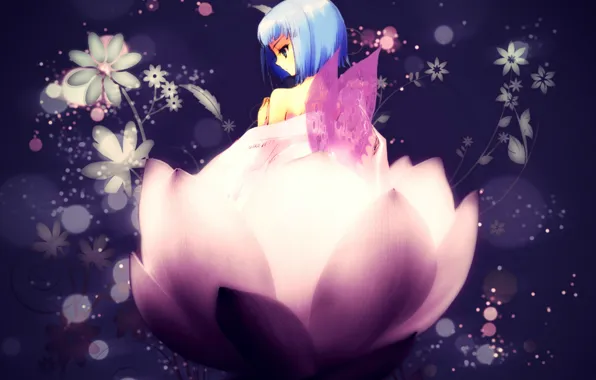 Картинка цветы, крылья, лотос, девочка, Art, голубые волосы, Shakugan no Shana, Hecate, Noizi Ito