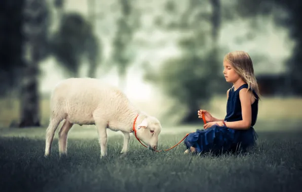 Картинка лето, девочка, овца