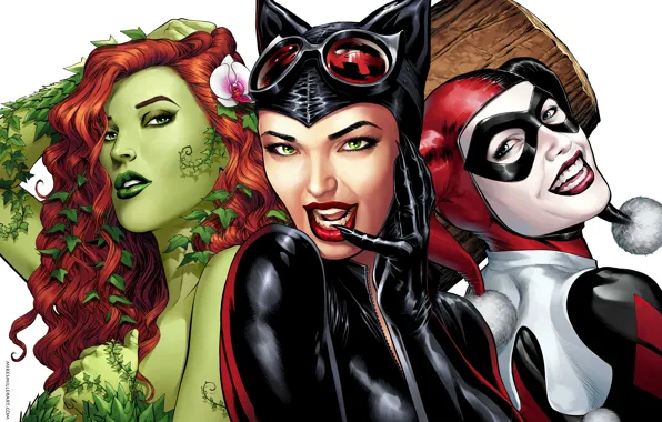 Картинка игра, арт, ядовитый плющ, DC Comics, Catwoman, Selina Kyle, женщина кошка, Harley Quinn, Харли Квин, …