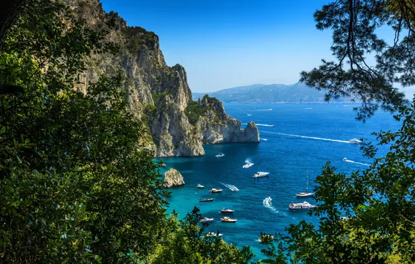 Картинка Природа, Яхта, Скала, Италия, Побережье, Capri, Парусные