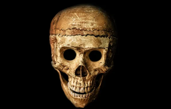 Картинка skull, black, bones