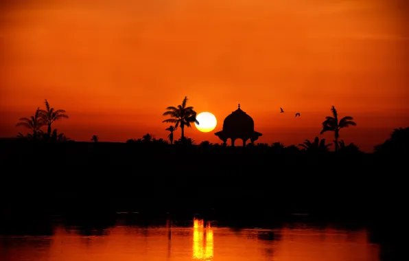 Картинка закат, река, пальмы, силуэт, Egypt, the Nile River towards Assuan