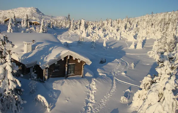 Картинка зима, снег, деревья, природа, дом
