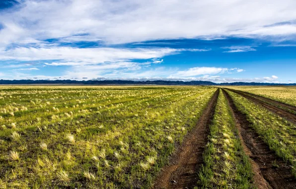 Картинка дорога, поле, пейзаж, Mongolia