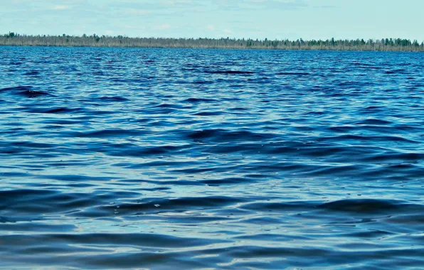 Картинка вода, солнце, озеро, горизонт, синее, июнь, 2014, Ноябрьск, ЯНАО, оз.Ханто