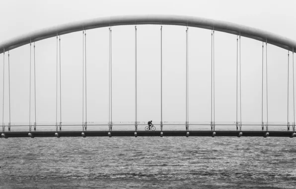 Картинка bicycle, ocean, bridge, water, black and white, architecture, suspension, b/w