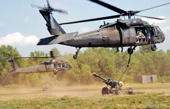 Картинка Нью-Йорк, группа, учения, UH-60 Black Hawk, вертолёты, гаубица, десантно-штурмовая, Форт Драм