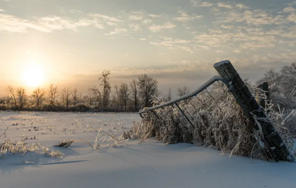 Картинка зима, поле, снег, утро