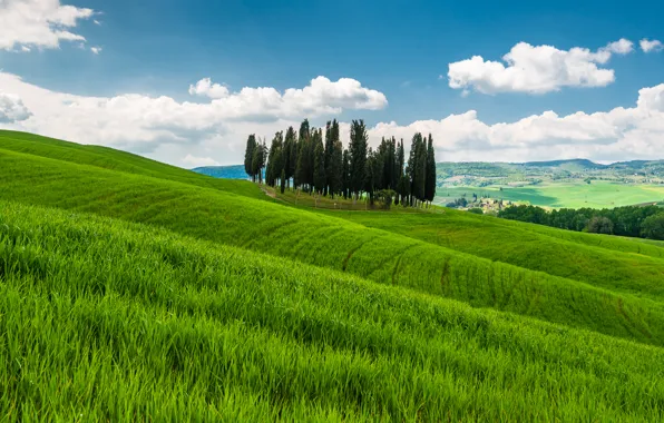 Картинка трава, деревья, горы, холмы, Италия, Тоскана