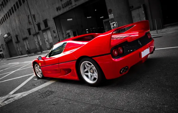 Картинка красный, улица, Ferrari, red, феррари, street, back, ф50, f50