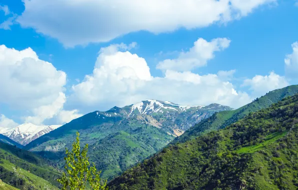 Картинка зелень, небо, облака, снег, пейзаж, горы, тучи, природа, дерево, холмы, красиво, Узбекистан, чимган