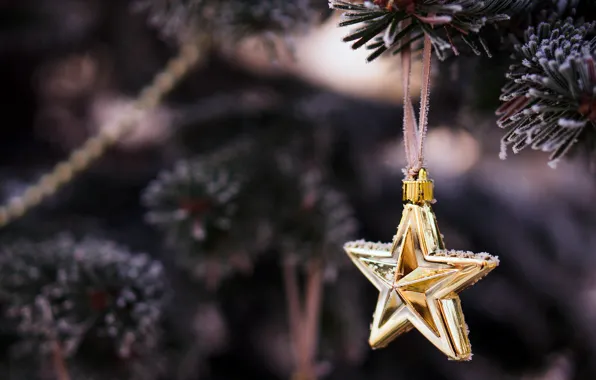 Картинка зима, ветки, дерево, игрушка, звезда, елка, ель, Новый Год, Рождество, ёлка, декорации, Christmas, звёздочка, праздники, …