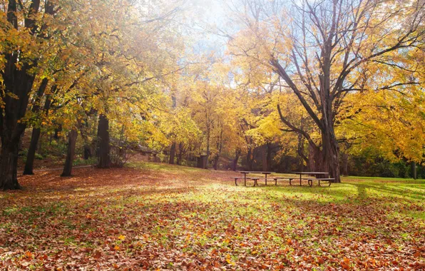 Картинка United States, autumn, leaves, autumn colors, Minnesota, fall, foliage, benches, fall colors, fall palette, autumn …