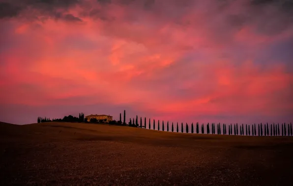 Картинка house, sky, trees, field, landscape, Italy, nature, sunset, clouds, evening, Tuscany