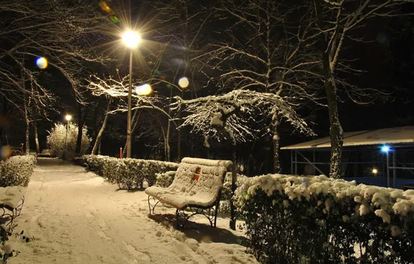 Картинка зима, свет, снег, деревья, скамейка, вечер