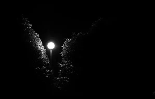 Картинка темнота, страх, улица, Ночь, фонарь
