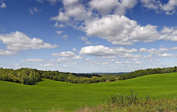 Картинка зелень, поле, лето, небо, трава, солнце, облака, деревья, Висконсин, США, Wisconsin