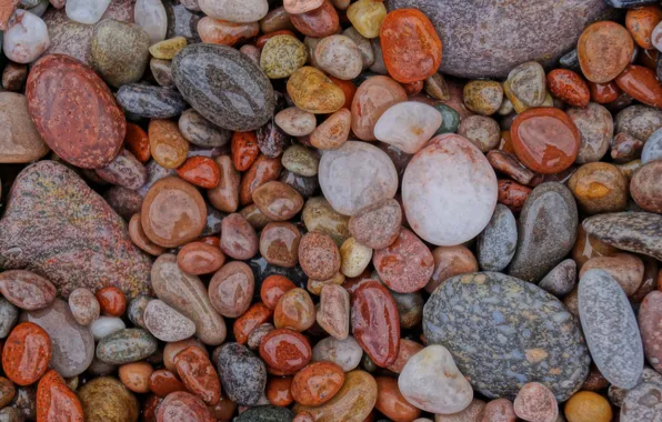 Картинка wet, stones, shiny, pebble