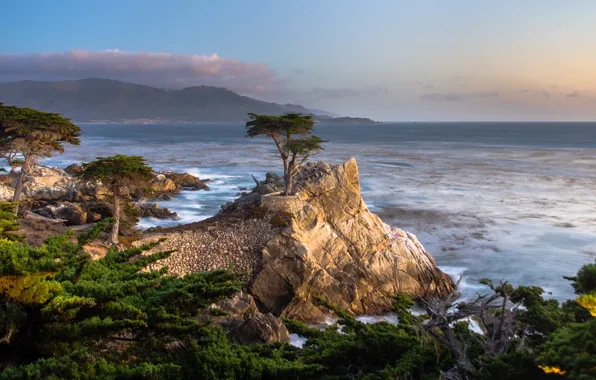 Картинка море, деревья, камни, побережье, горизонт, Калифорния, прибой, США, Pebble Beach